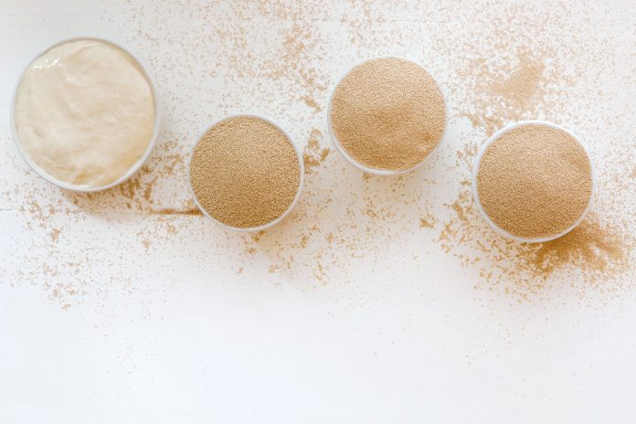know your yeast different types of yeast in separate bowls on white background