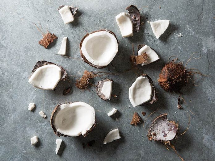 Crazy for Coconuts