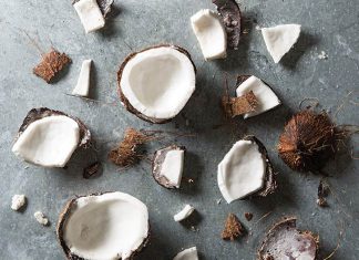Crazy for Coconuts Crazy for Coconuts