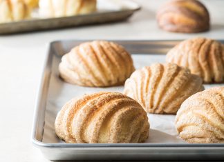 Conchas