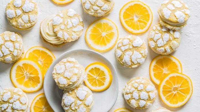MyerLemons790WDfullbanner