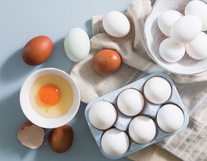 Egg replacements eggs on blue surface in white egg holder