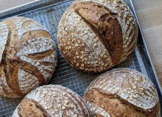 Beyond the Grain: Sustainable Bakeries and the Bread Renaissance Beyond the Grain