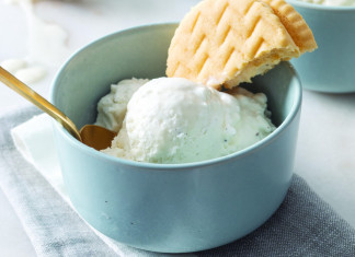 No-Churn Custard Ice Cream No-Churn Custard Ice Cream