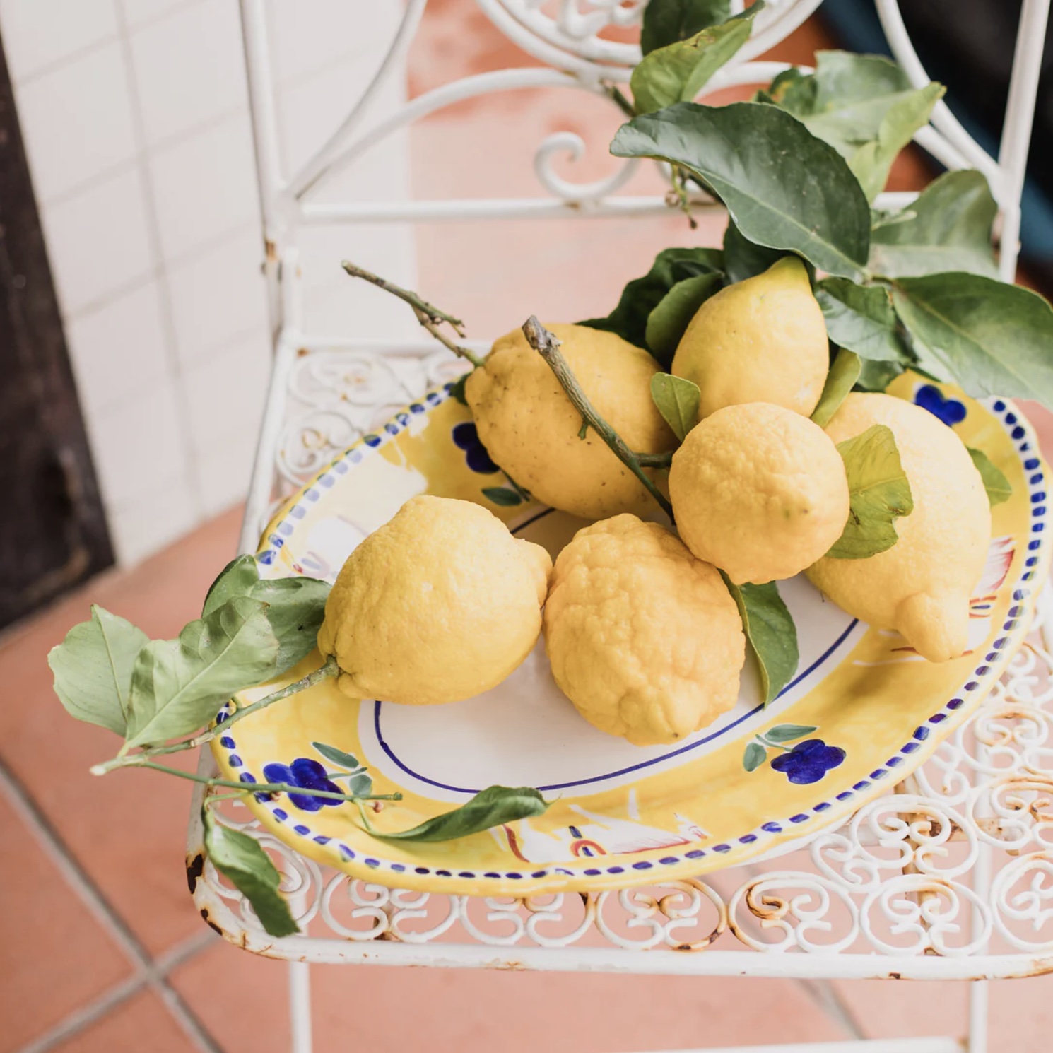 Plate of Lemons - Bake from Scratch Plate of Lemons