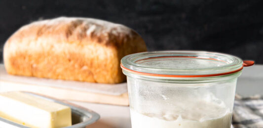 The Essential: Sourdough Starter
