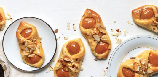 Gold Medal Apricot Brioche Tarts Gold Medal Apricot Brioche Tarts